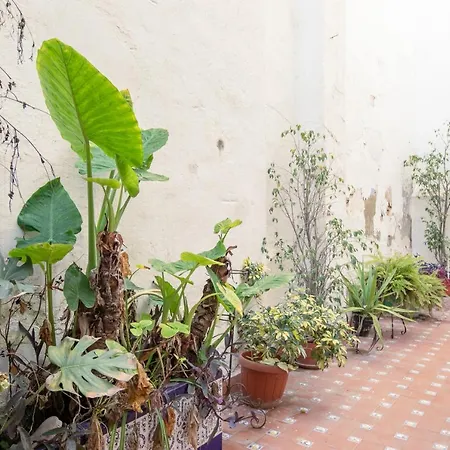 San Pablo Premium Suites Appartement